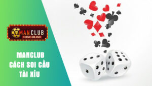 tìm hiểu định nghĩa cách soi cầu tài xỉu