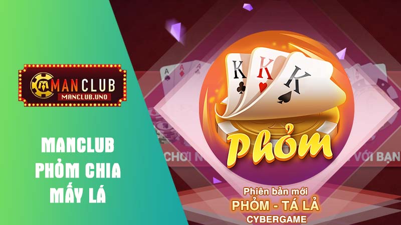 tìm hiểu bài phỏm chia như thế nào