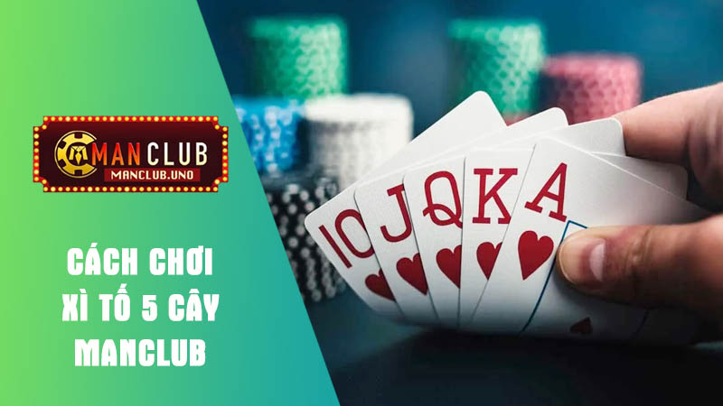 Xì tố 5 cây là gì