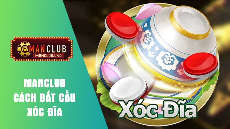 Giới thiệu về bắt cầu xóc đĩa